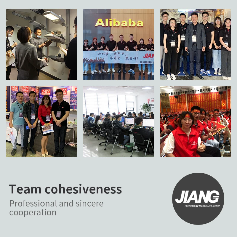 Meanwell PWM-200 200W 12V 24V 36V 48V Dali LED Strip Driver With PFC Faction Waterproof IP67