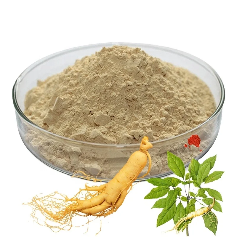High qualitypanax ginseng root powder 5%-80% ginsenosides Powder organic ginsenosides ginseng extract