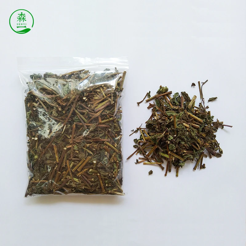 peppermint leaves selected premium grade herbal medicine peppermint branches mint leaves