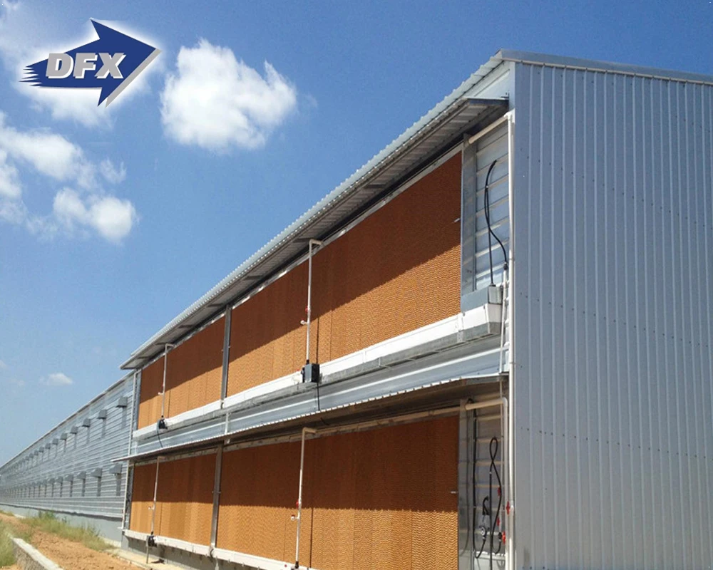 Large Span Prefab Multistory Steel Structure For Hospital School Factory Building Office Building Chicken Poultry house