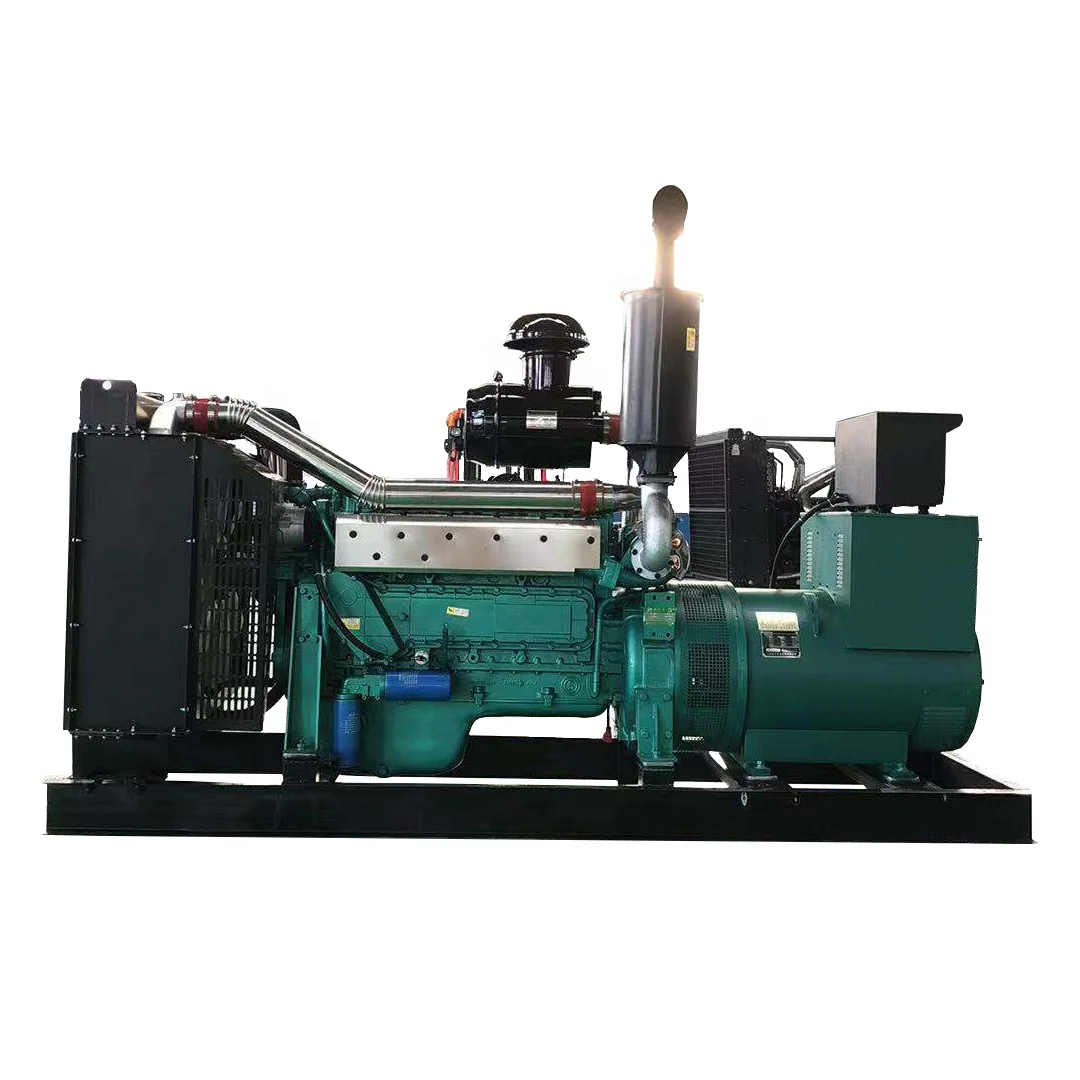 Preferential PriceHigh power 250kw diesel generators alternative energy generators for sale