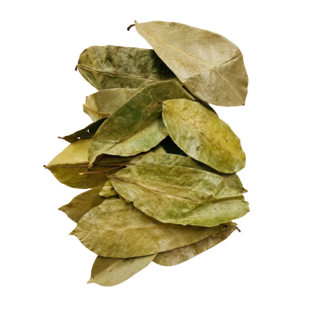 
Dried Soursop Leaves Tea - Cancer Treatment - Origin Vietnam /Whatsapp: +84 90 335 4981 