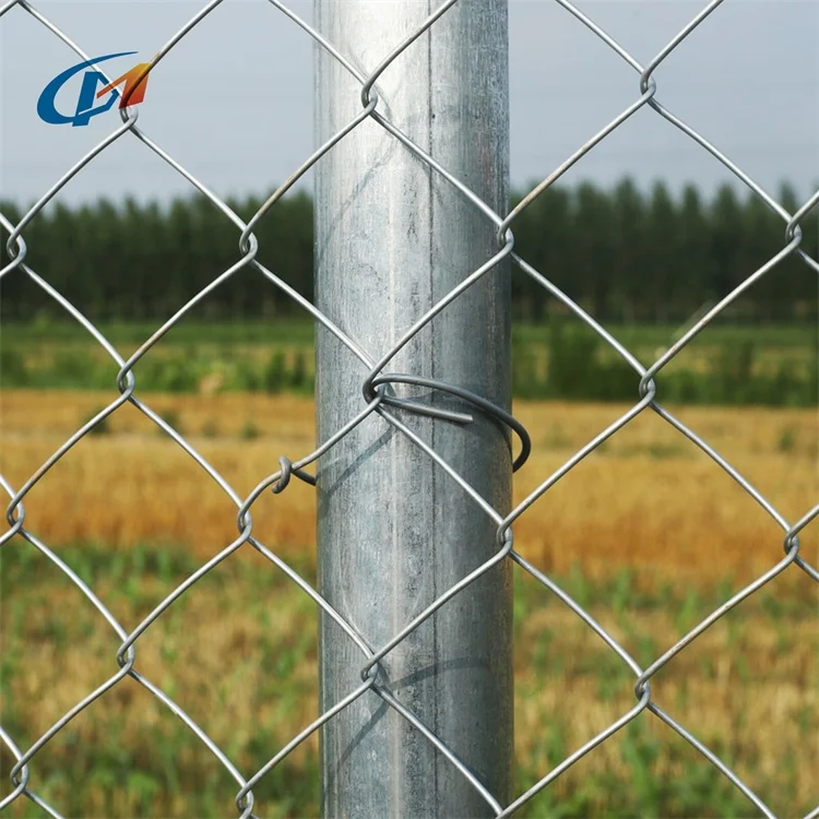 3mm Wire 50x50 Diamond Mesh Hot Dip Galvanized 6ft Chain Link Iron Wire Mesh Fence / Pvc Coated Chain Link Fencing 50ft Rolls