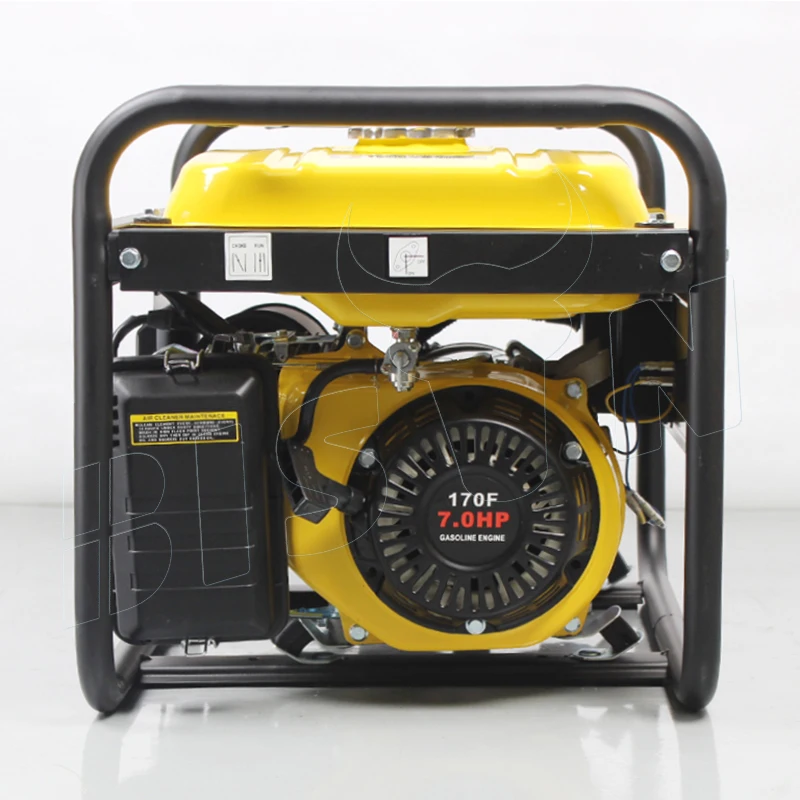 BISON CHINA 3000w Petrol Generator Air Cooled 220v 3 kw Gasoline Generator