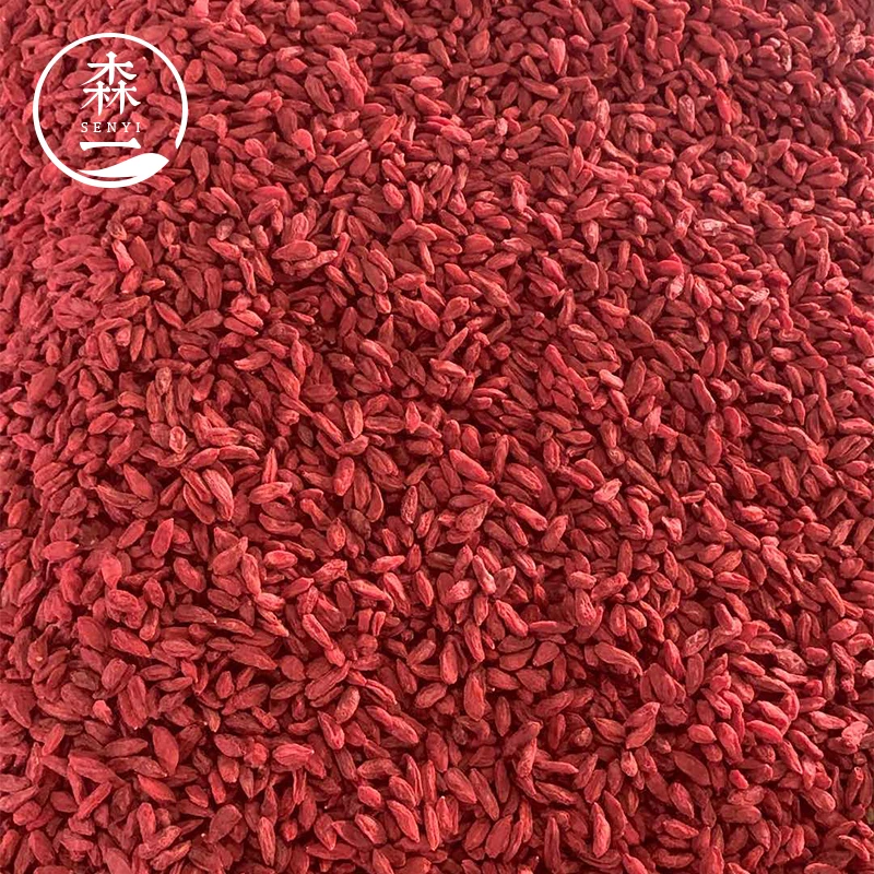 March Expo 2022 Promotion Biogro Certified Dehydrated Fruit Ningxia Goji Berry