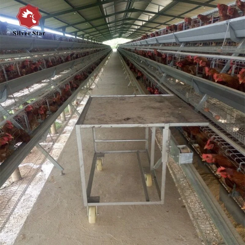 China Manufacturer sales good quality a type durable chicken laying cage.jpg