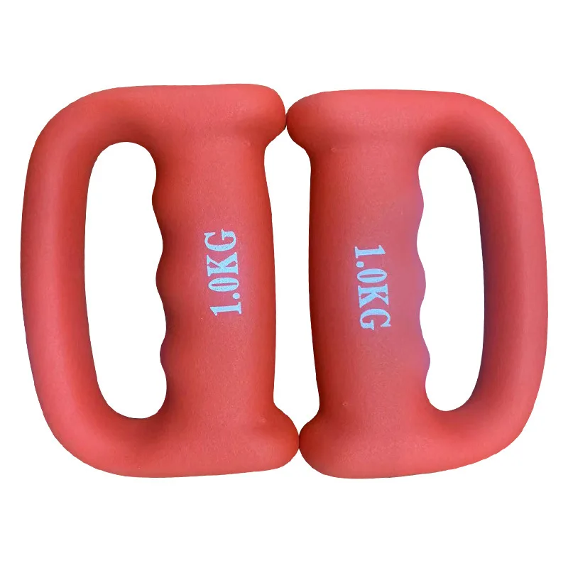 Lady Fitness Solid Cast Iron Dumbbell for Home Gym Exercise High Quality Equipment with Durable Rubber Logo for Arm Workouts