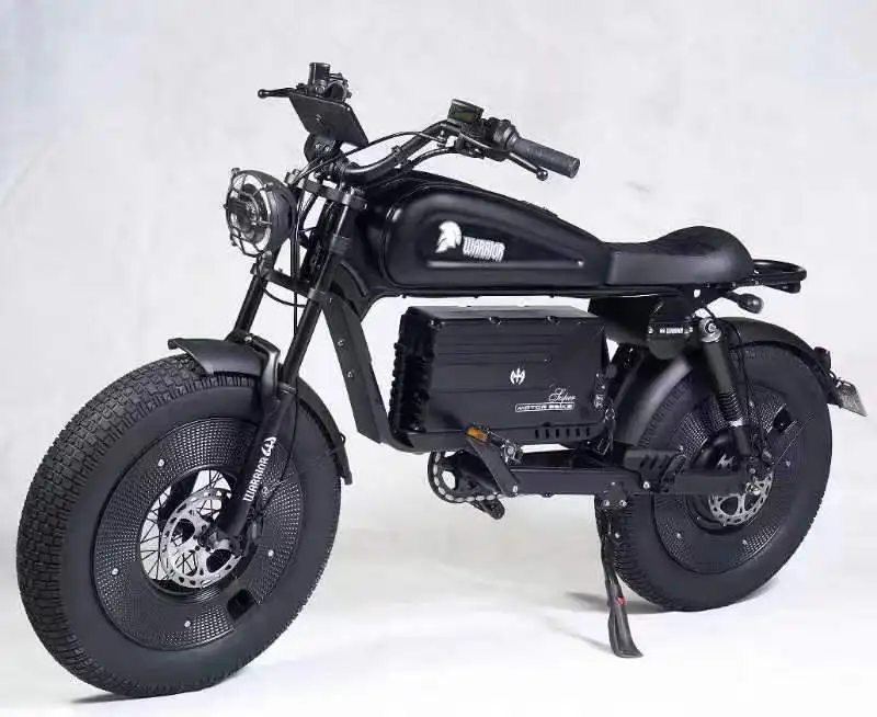 2024 Newest EcoRider HiMoto Fat Tire Electric Bike 20*5.0 Tire 48V 30Ah/60Ah All Terrain Electric Hybrid Bicycle