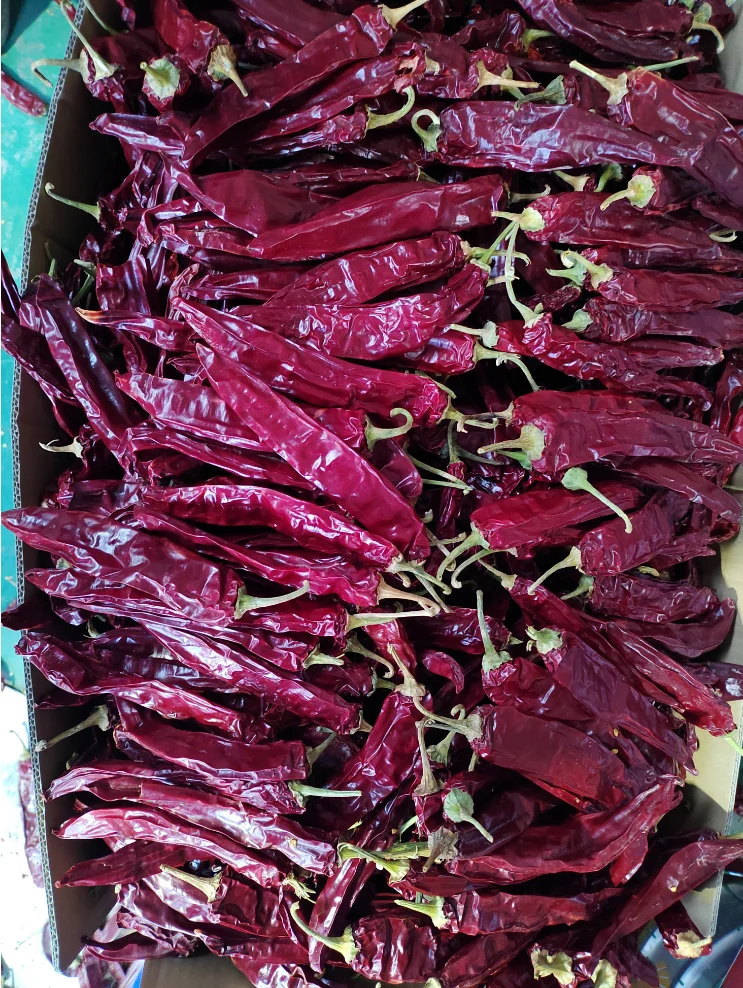 Dried Chili Cayenne Pepper and Paprika Product Type