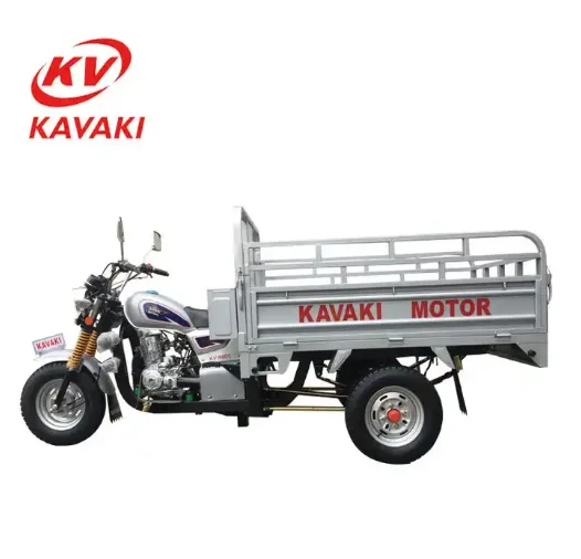 Electric Start Car Trike Motor Electric Kick Tricycle Car Driving System Transaxle For Adult