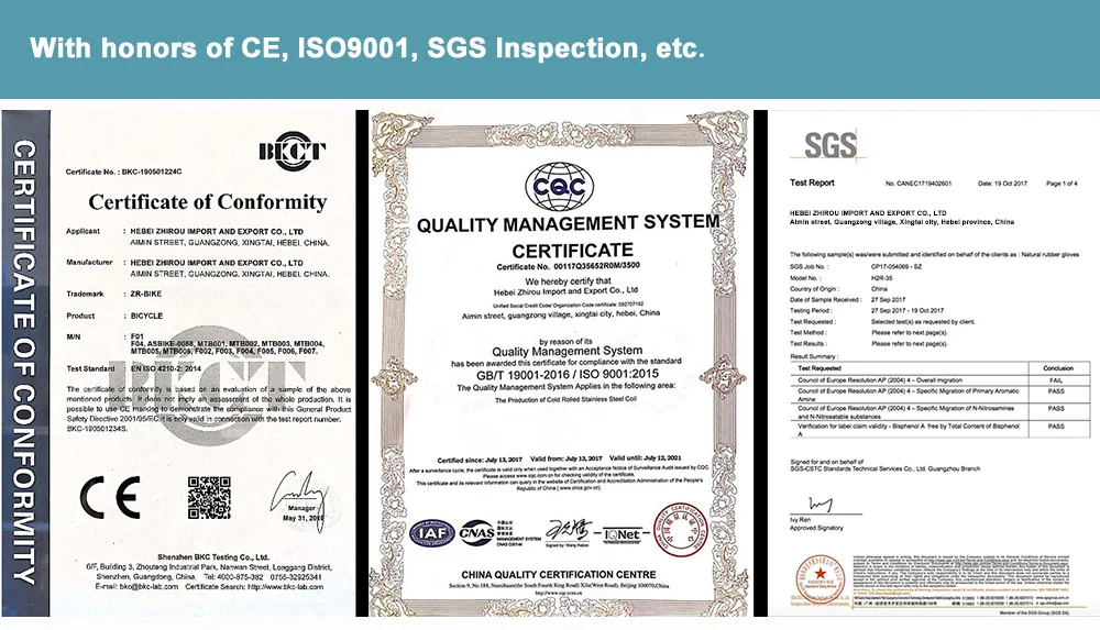 certificate S.jpg
