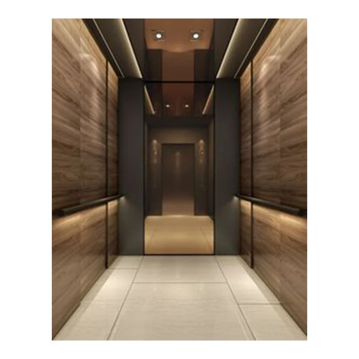 ZLE 2.5m/s Modernization Residential Passenger Elevator Lift 1000KG 13 Persons House Elevator