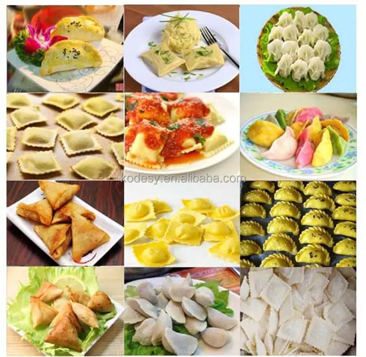 Made in China 304 Stainless Steel Food Machine Dumpling Forming Machine