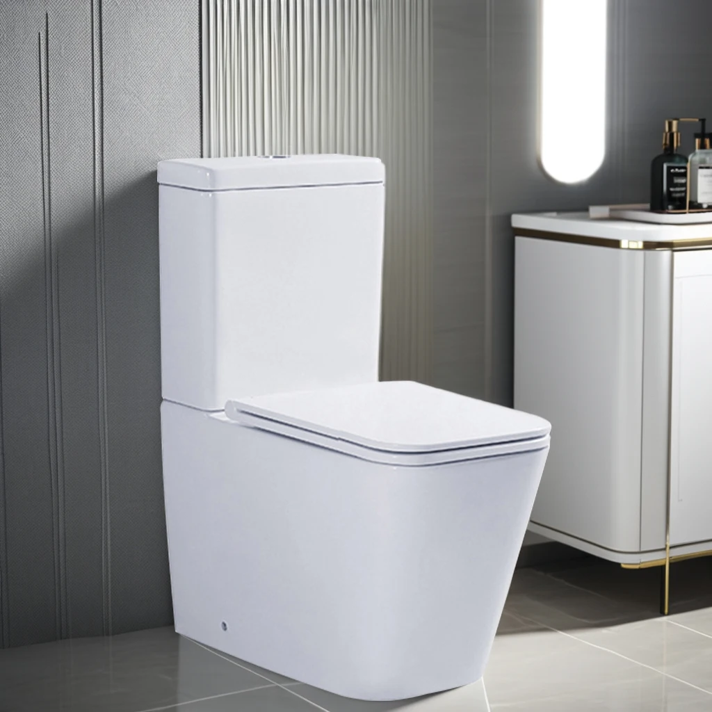 Toilette igbonse les chiottes Sanitary Ware Commercial Toilet with Dual Flush Cistern - Water Saving Durable Reliable