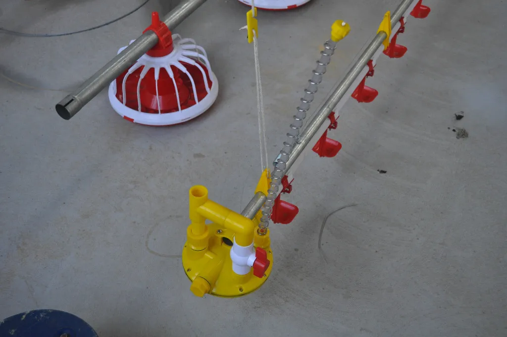 Floor Type Poultry Management Feeder with Automatic Feeding System