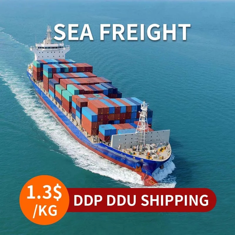 Professional Shenzhen Freight Forwarder Sea Shipping From China To Oman Kuwait Qatar Uae