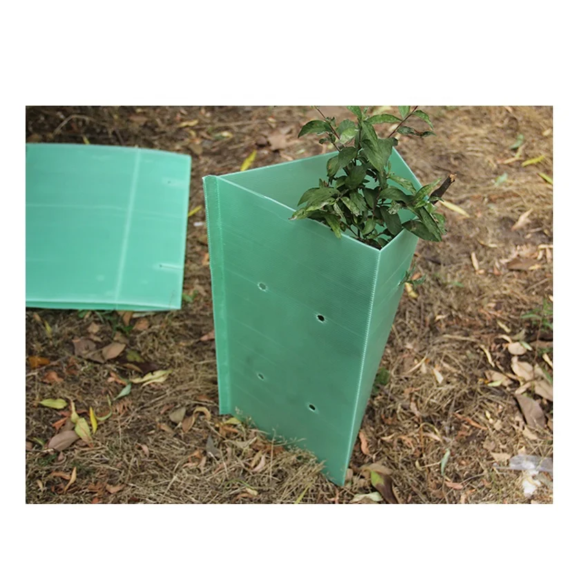 Plant And Tree Guard Protectors In Outdoor Garden