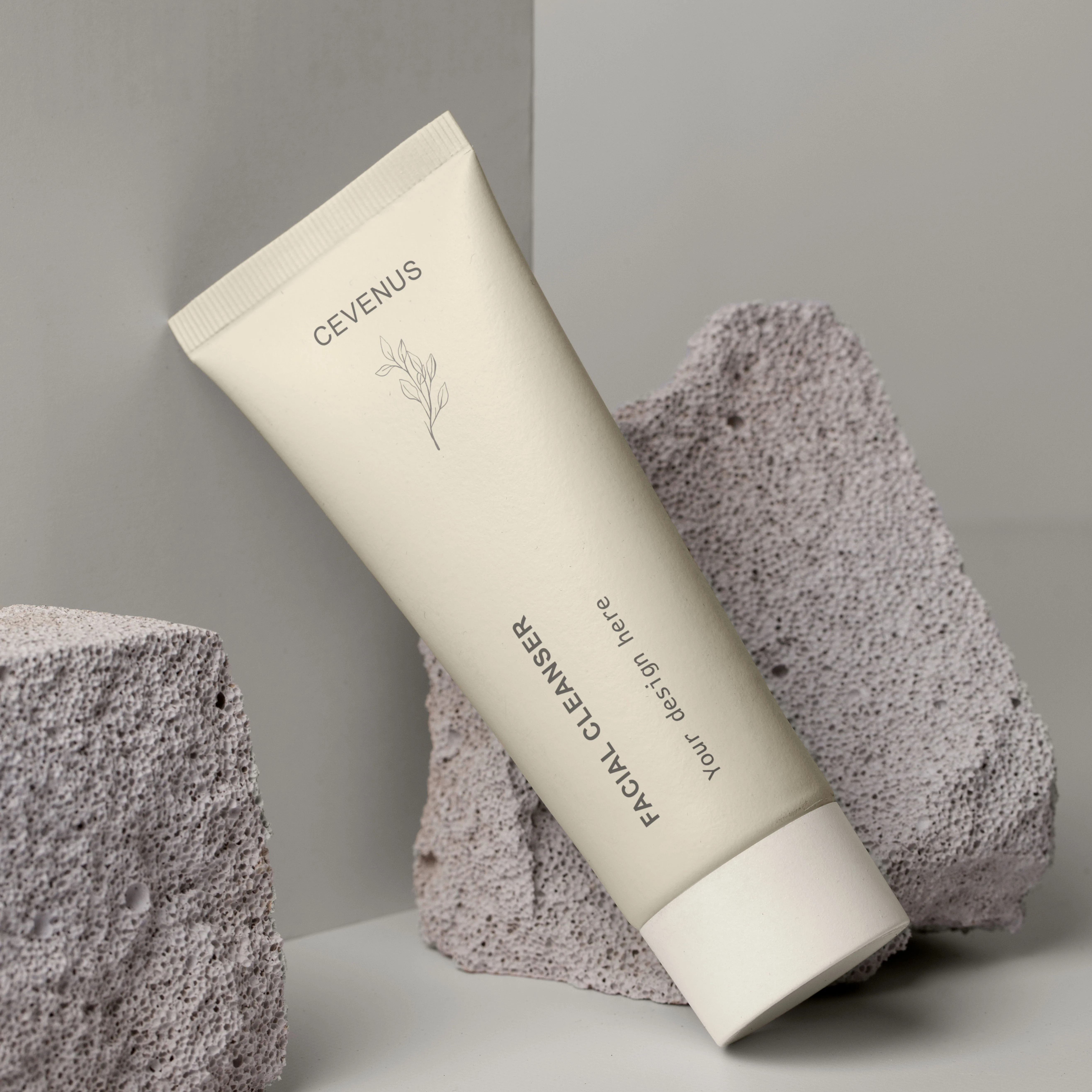 OEM ODM Private Label Natural Organic Cucumber Rose Blueberry Fruit Face Wash Harvest Salicylic Snail Unisex Facial Cleanser