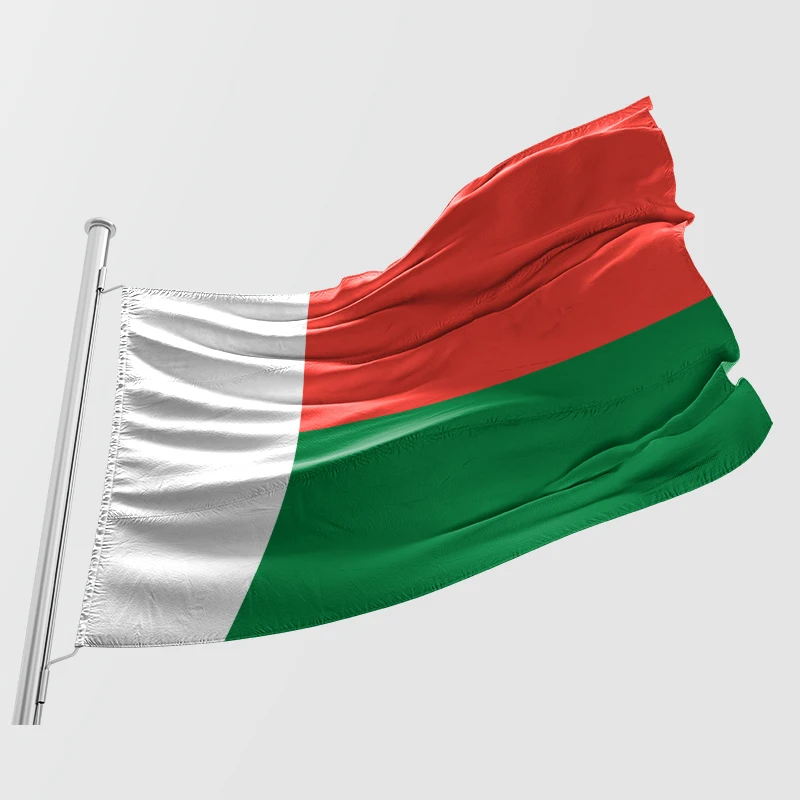 Factory 90X150cm Madagascar Flag Banner Polyester Party Campaign Advertisement madagascar Country 3x5 Flag For General Election