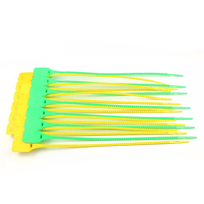 SK3006P  Price Tag With Plastic Seal Plastic Security Seal