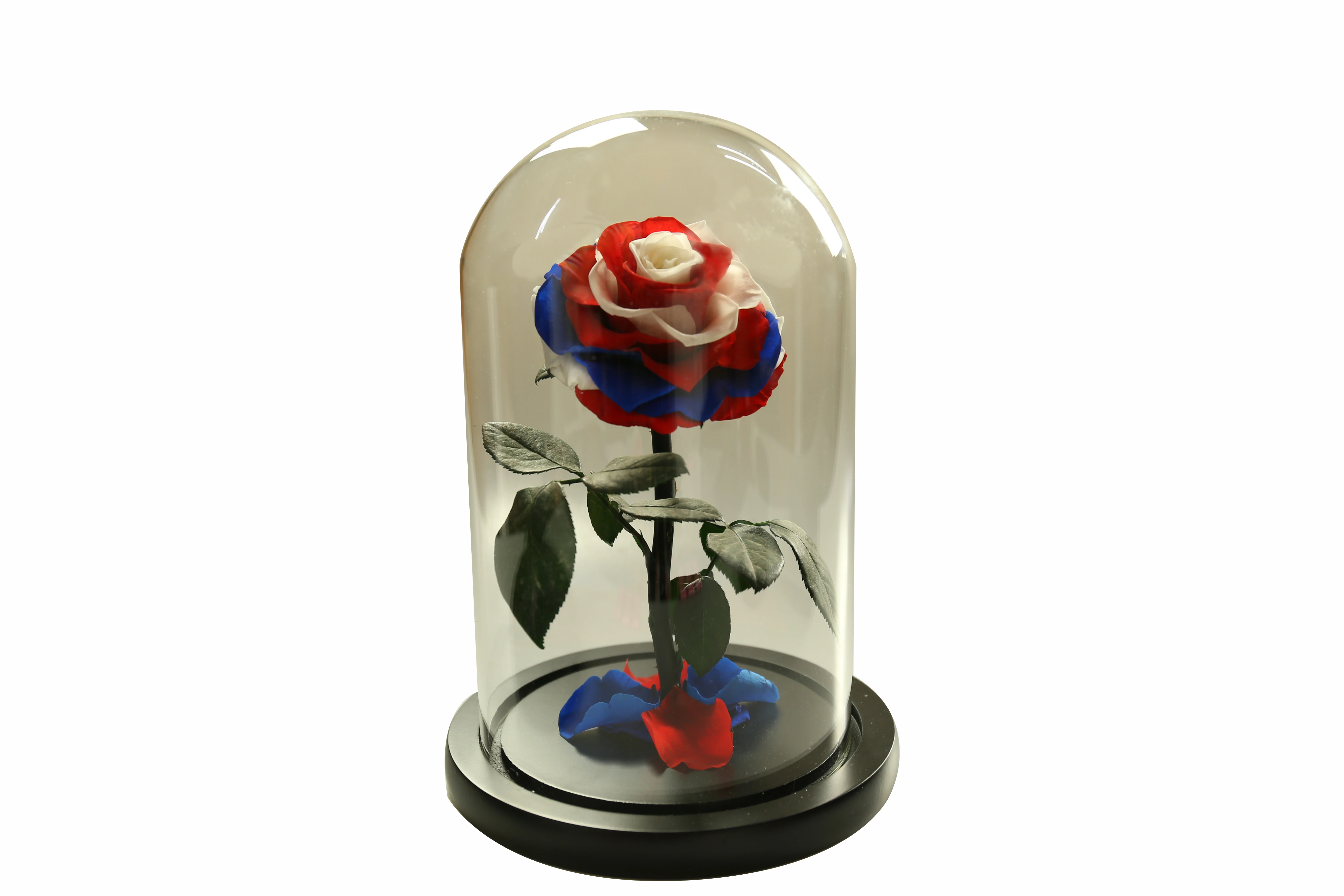 Drop shipping Stabilized Preserved Flower Bouquet Gift Box Christmas Gift Rose Flower sunflower best ideas Gift flower orchid