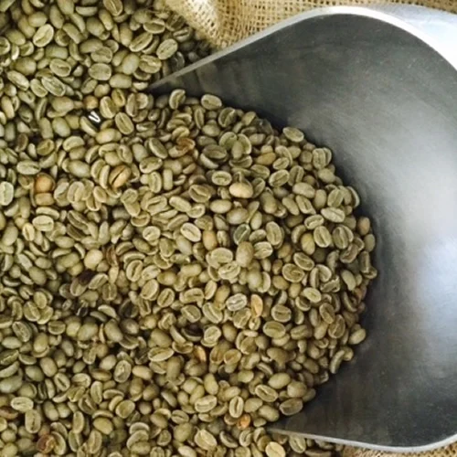 Premium quality Green Coffee Bean with wholesale Arabica Plantation B