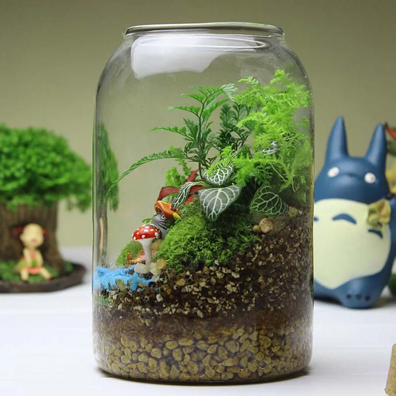Plant Terrarium Set Recycled Glass Closed Large Terrariums For Plants