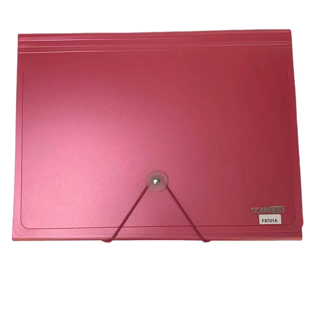 
 Низкая цена, лучшее качество, 13 карманов, держатель для документов, Pp A4 расширяющийся файл  