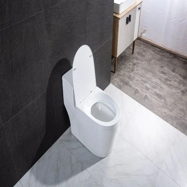 Wholesale washdown porcelain bathroom sanitary ware wall hung toilet wc ceramic closestool wall hung toilet