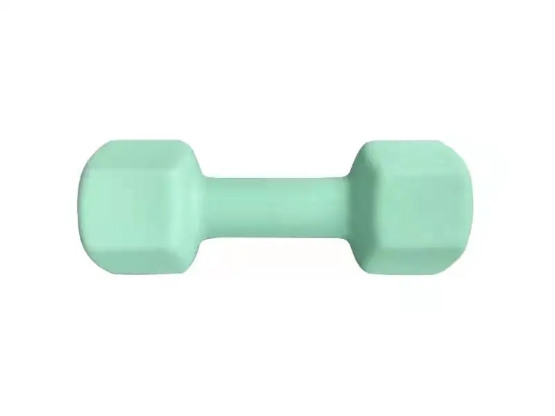 Factory wholesale pro grade vinyl dumbbell neoprene dumbbell
