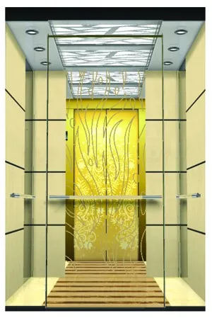 FUJI ZY villa elevator home elevator kit with Japanese technology small elevator for 2 person