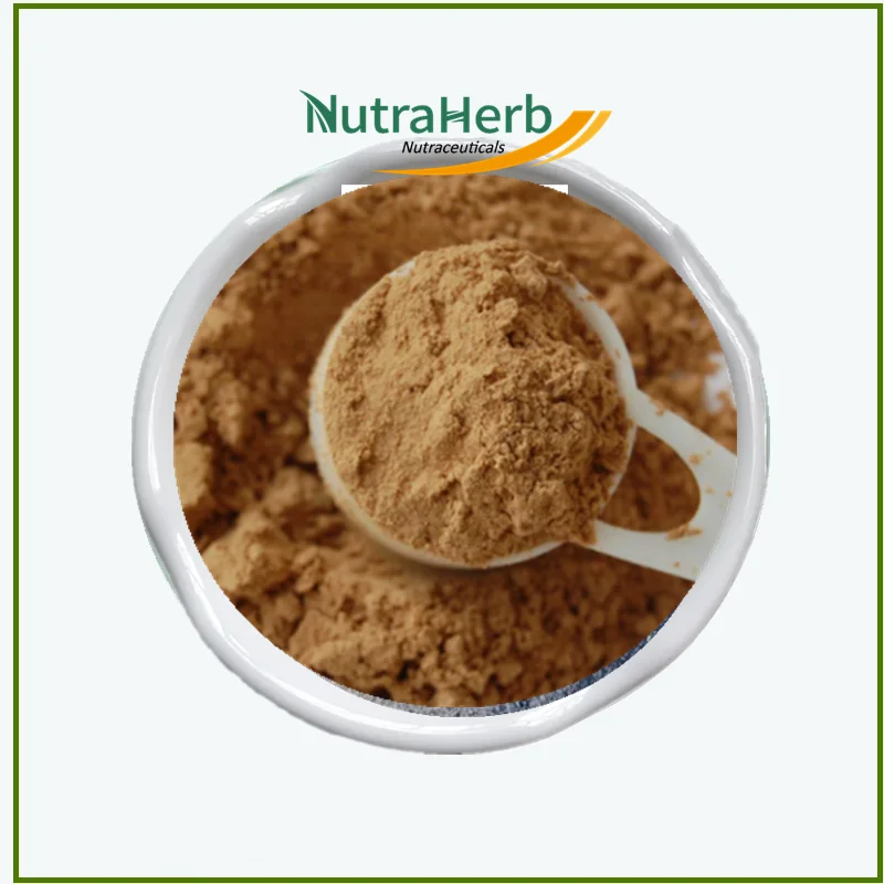 Hot Sale Mint Powder Mentha Piperita Leaf Extract 10:1 Peppermint for Selling