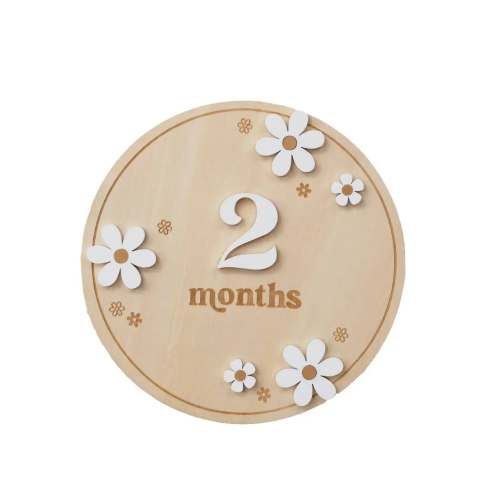 Wooden Daisy Flower Arched Milestone Cards Monthly Milestone Markers Interchangeable Milestone Card Photo Prop