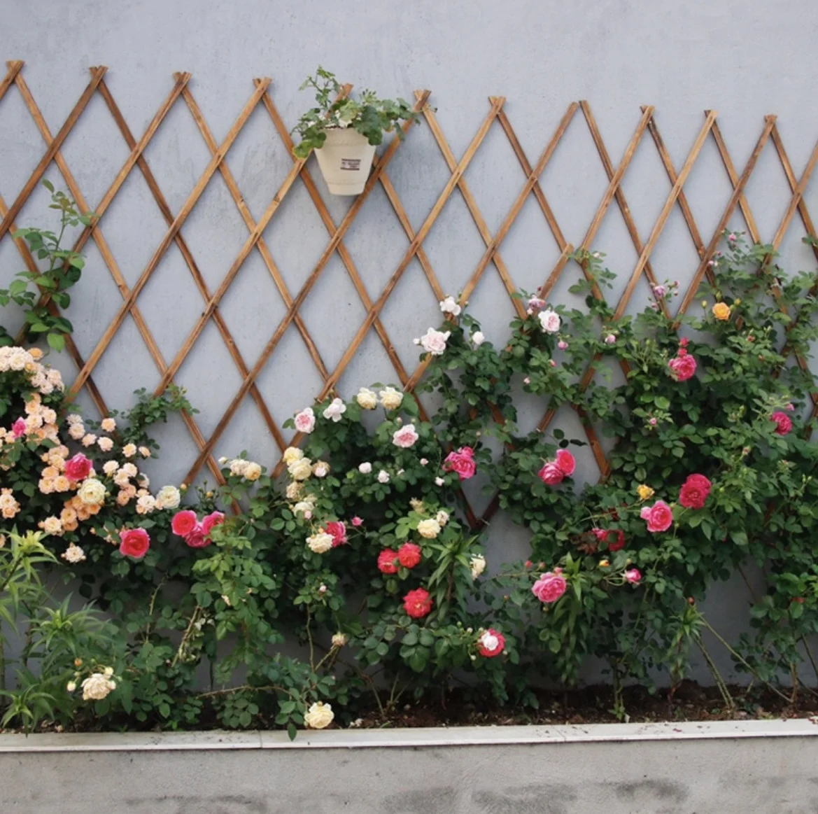 Carbonized anticorrosive telescopic wood drawing mesh wood fence green plants climbing grid flower stand