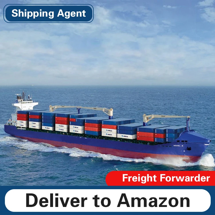 Морской грузовой контейнер ddp из Китая в США, Великобританию, Канаду, Австралию