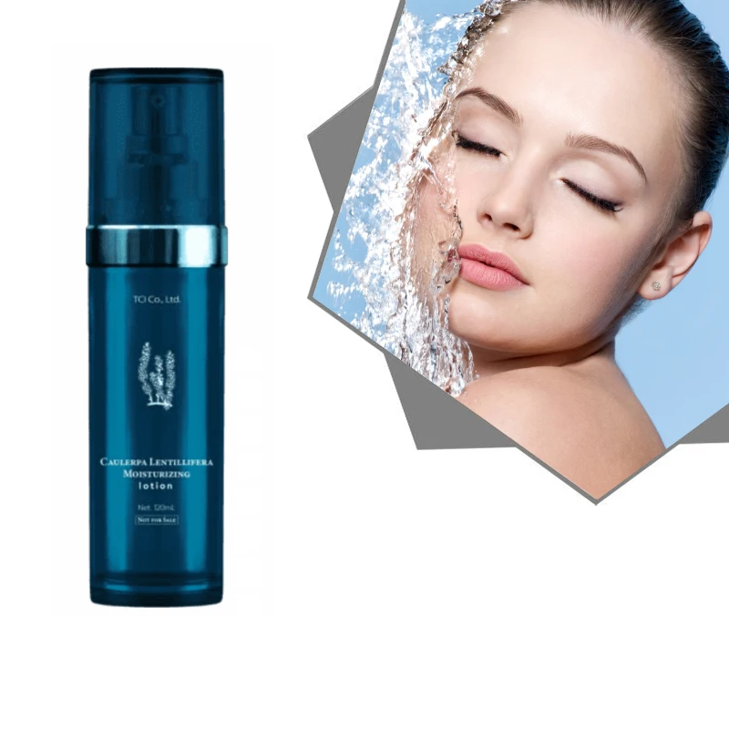 Low Price Sea Grape Facial Whitening Lotion Anti Sugar Smooth Skin Lotion