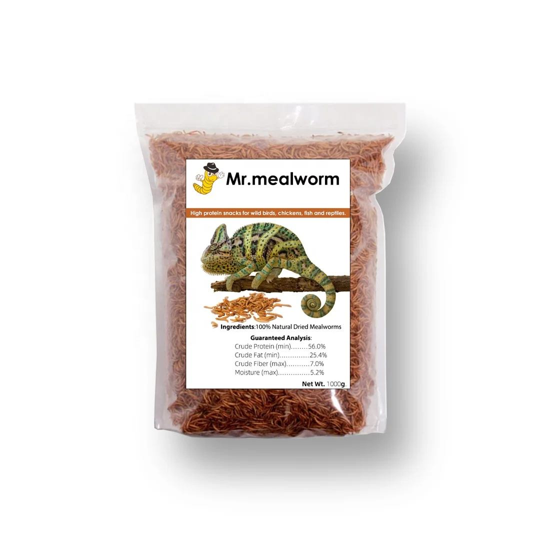Wholesale Dried Mealworms Reptile Food Insects