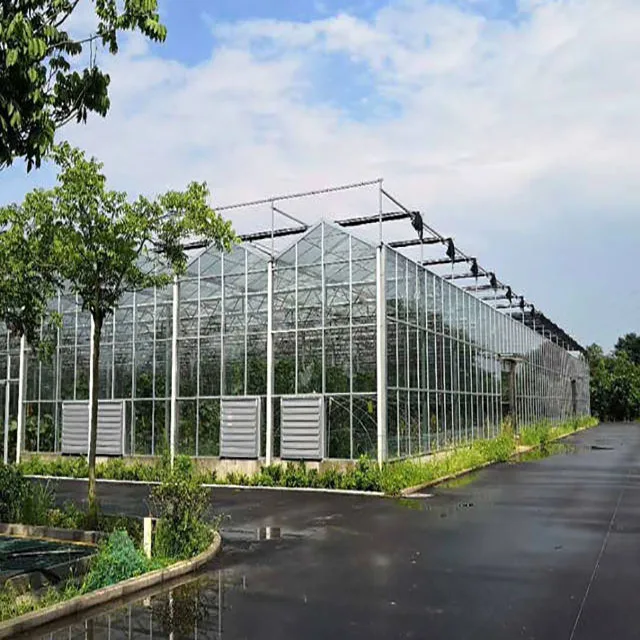 Wind resistant prefabricated one stop gardens greenhouse parts greenhouse victorian glass green house