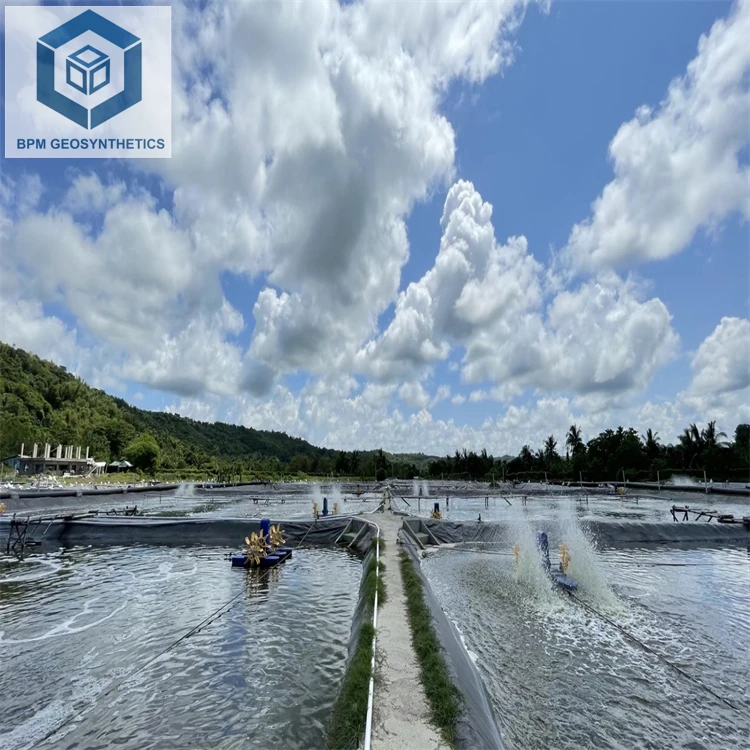 HDPE Geomembrane Irrigation Fish Farm Pond Dam Liners for Farming in Uganda