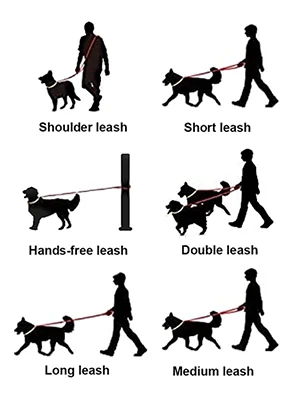 Customized Strong Heavy Duty Adjustable Leather Slip Lead  Dual Dog Training Leash Flexi Nylon Rope Pet Leashes