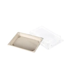 Easy Green Frozen Biodegradable Sugarcane Fast Food Tray Japanese Sushi Take Out Container Free Pfas