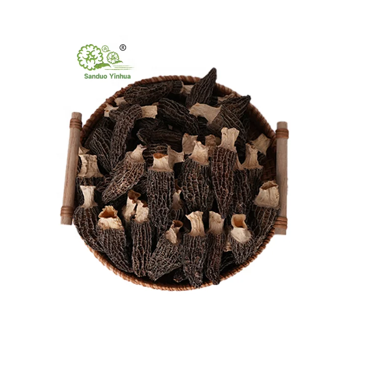 Wholesale China High Grade Wild Dried  Morchella Esculenta Morel Mushroom morels mushroom