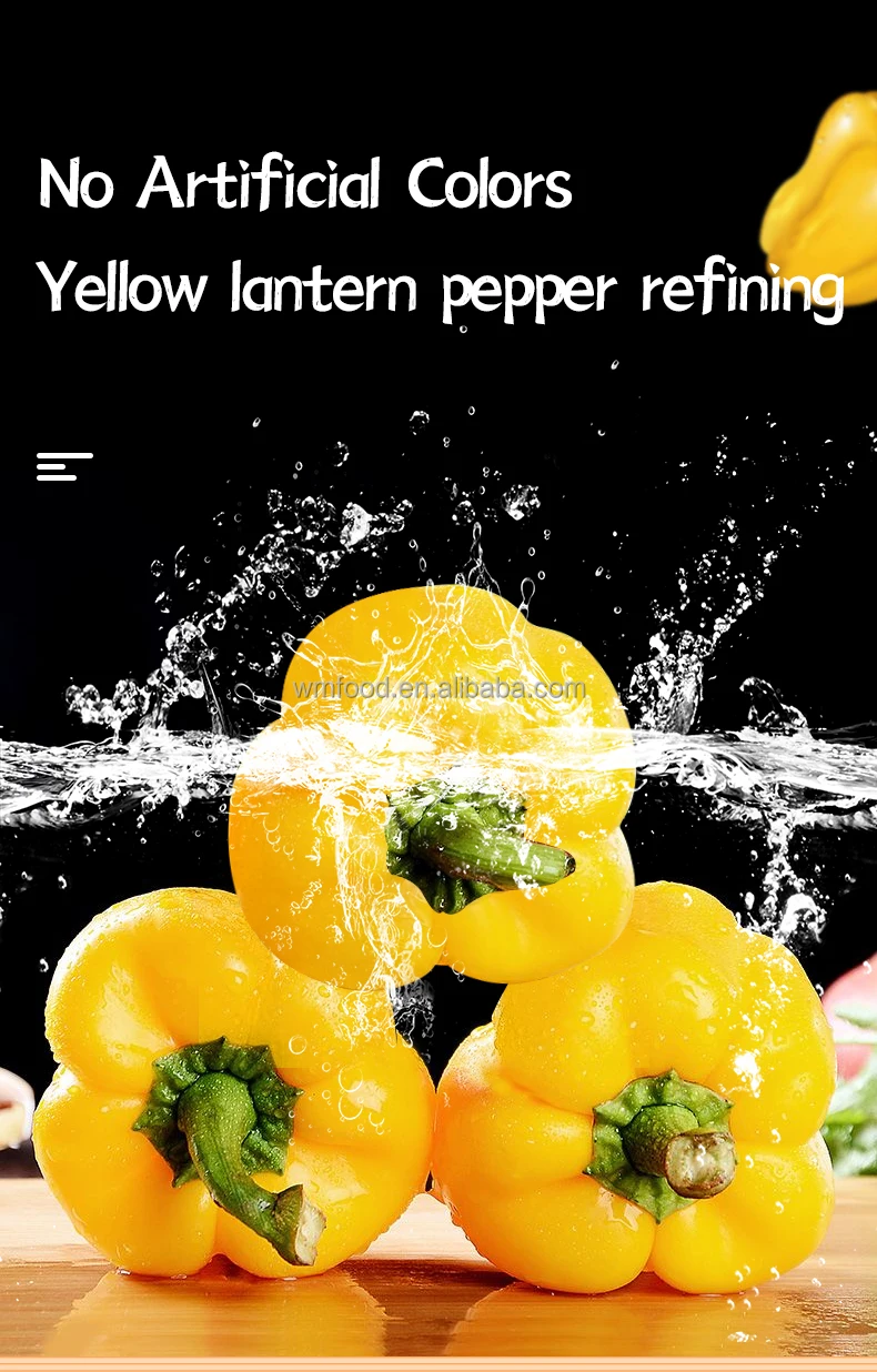 _04.jpg