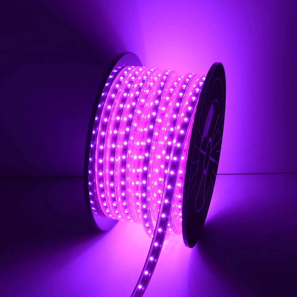 High Density 60led Smd 2835 110v 220v Ip65 Waterproof custom led strip Light with silicone waterproof and luces led light strip