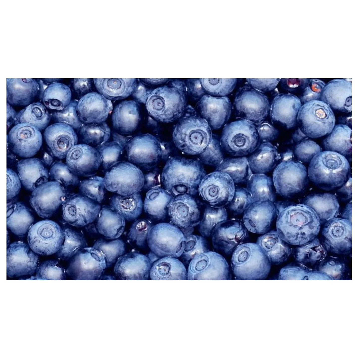 Fresh Berries Blueberry Cloudberry Cranberry Strawberry / Eco-Friendly Plastic Trays GOST Standard Prepackage