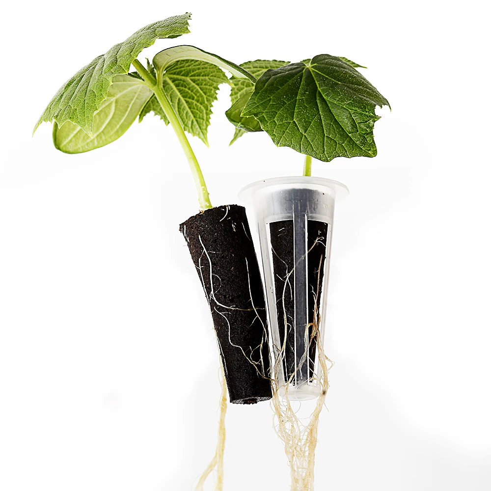 Mini Coco Coir Peat Block Planting Seed Starting Nursery Substrate Grow Sponge For Peat Fibre Seedling Pots With Hole In Bottom