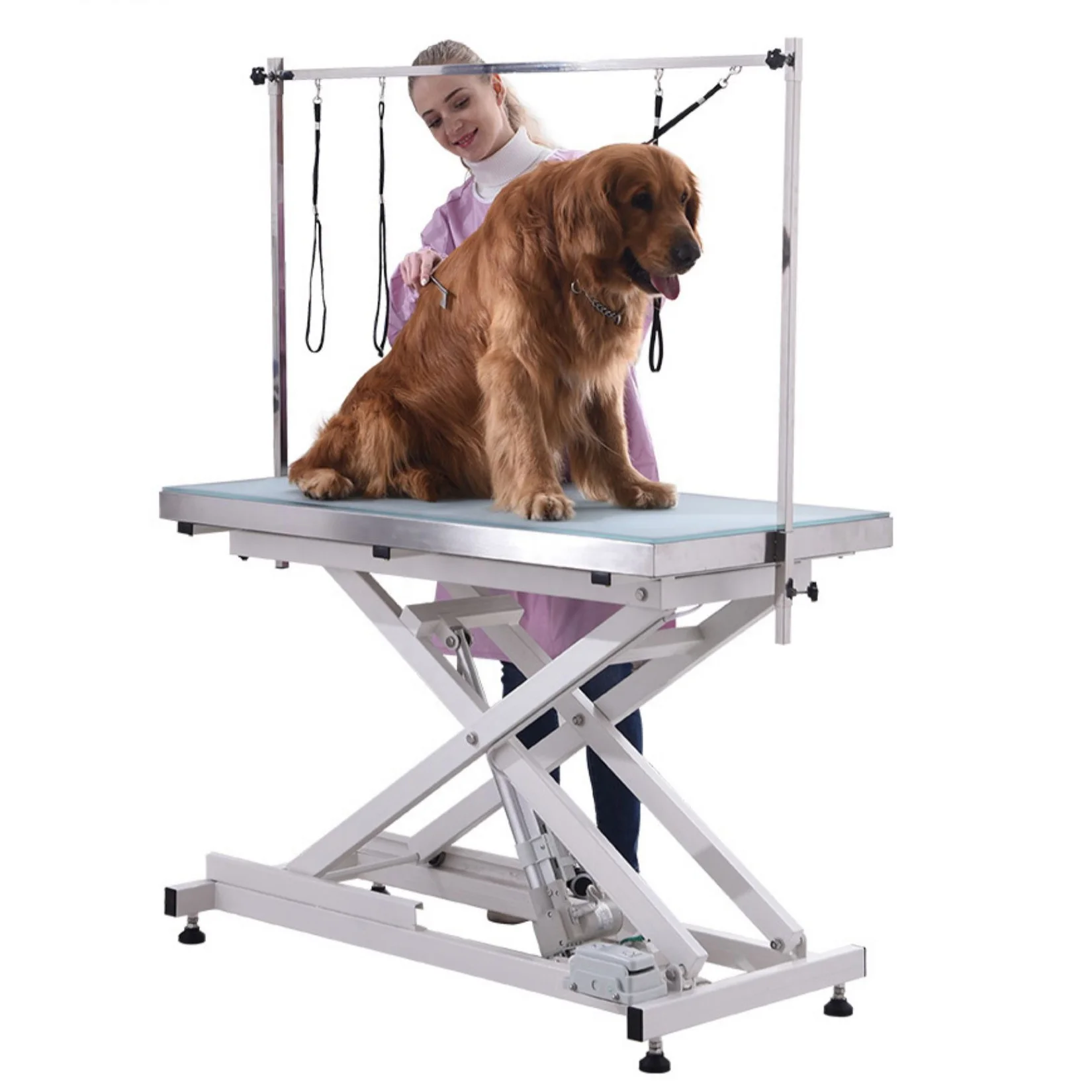 Custom Electric lifting dog table hydraulic dog show table pet grooming table with LED light