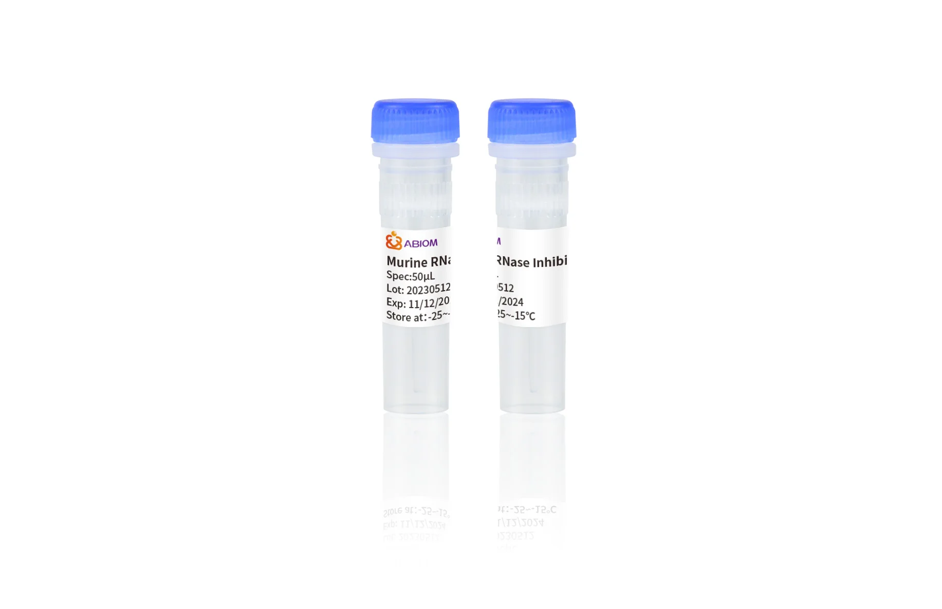 Murine RNase Inhibitor