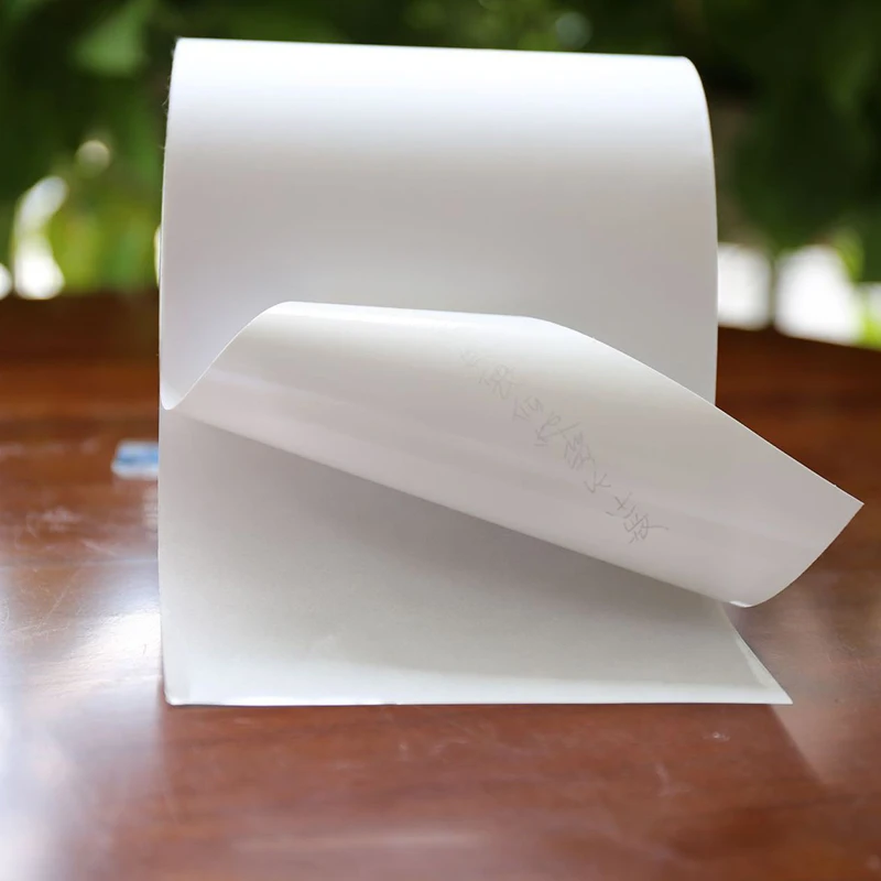 Factory Supply PP PE PET PVC BOPP Vinyl Matt Silver Transparent Self Adhesive Transfer Thermal Label Paper Jumbo Roll