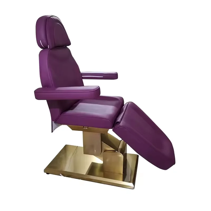 2024 Newest Hot Sale European Style Electric Beauty Bed With 3 Motors  Beauty Massage Bed For Beauty Salon